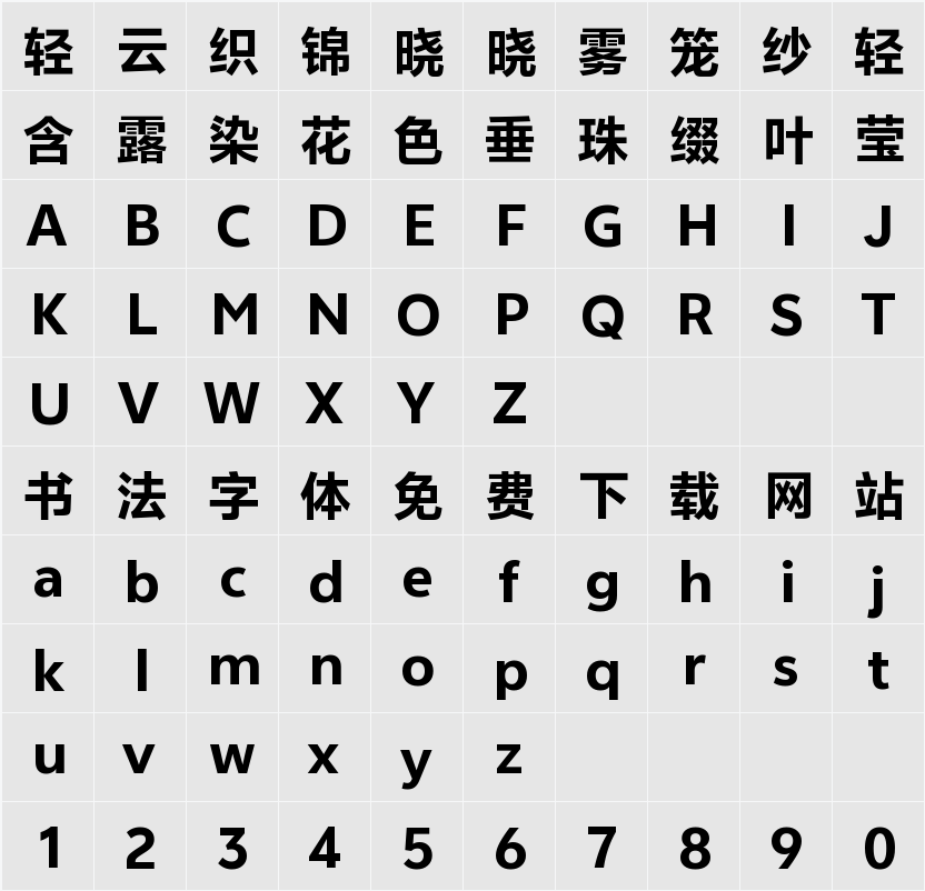 vivo Sans Extrabold 字符映射表