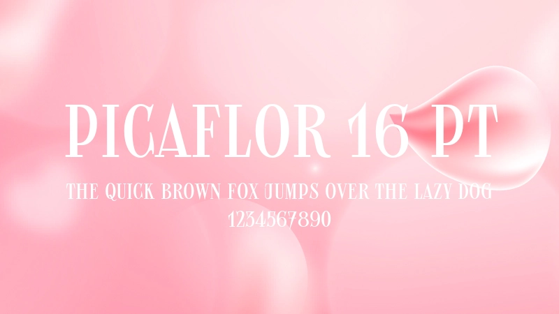 Picaflor 16 pt 字体预览图