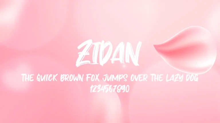Zidan
