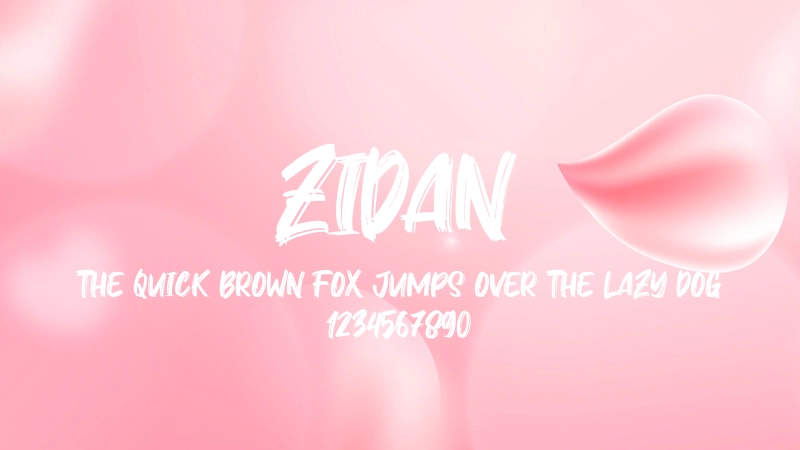 Zidan 字体预览图