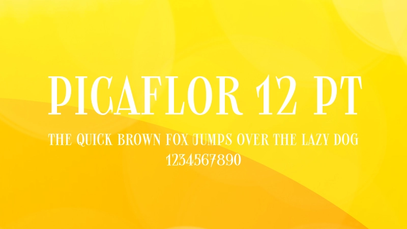 Picaflor 12 pt 字体预览图