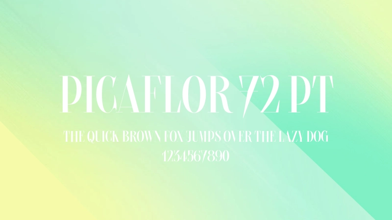 Picaflor 72 pt 字体预览图