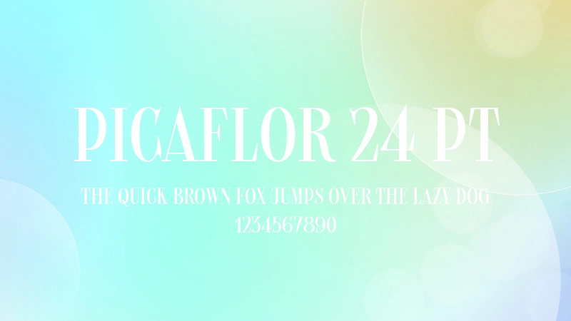Picaflor 24 pt 字体预览图