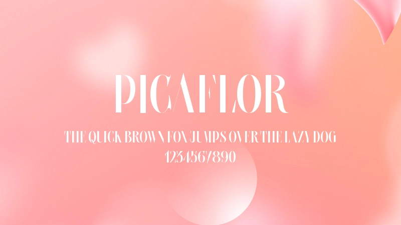 Picaflor 字体预览图